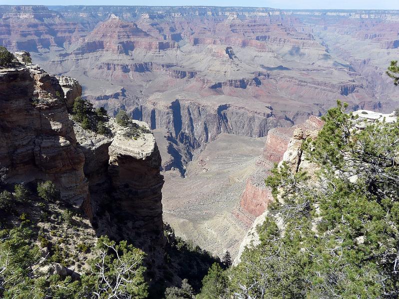 Grand Canyon P1020523.jpg